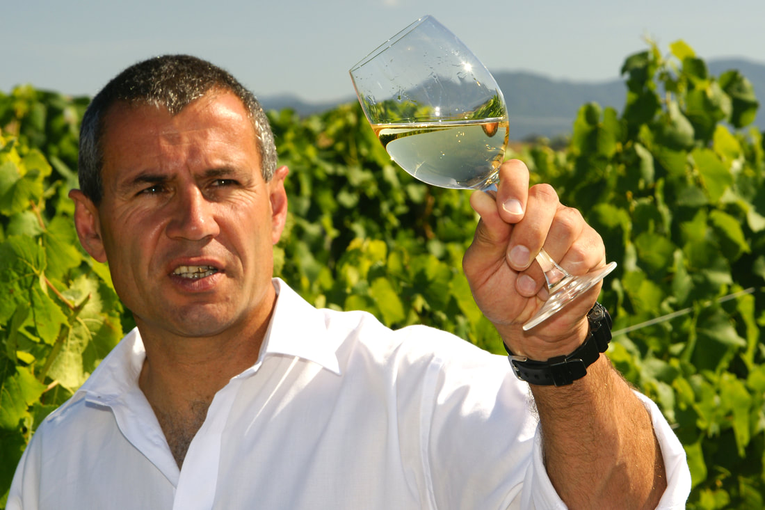Steve Birds Wine Growing Region